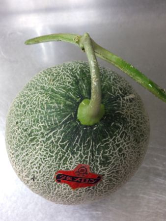 �[��������