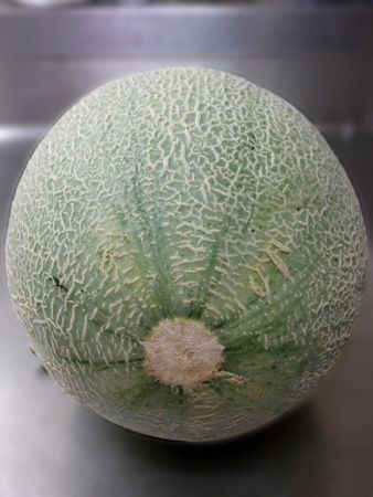 �[��������