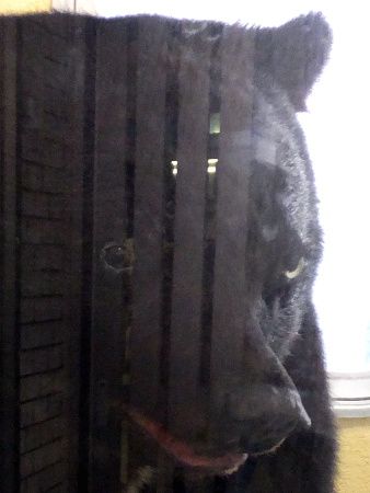 ���̗֌F����