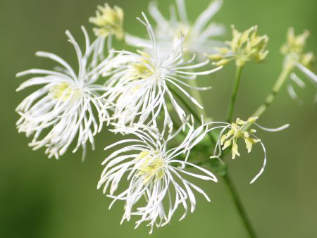 �J���}�c�\�E�i�������j