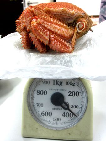 �ъI���X360g