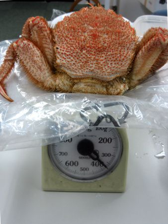 �ъI380g