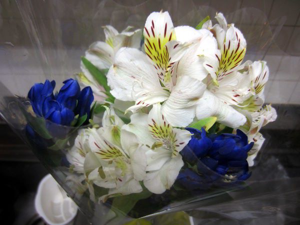 �A���X�g�������A�iAlstroemeria�j
