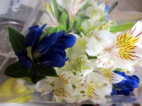 �A���X�g�������A�ƃ����h�E