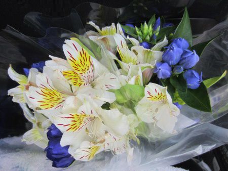 �A���X�g�������A�iAlstroemeria�j