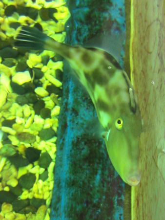 �E�}�d���n�M