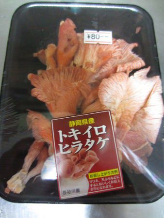 �g�L�C���q���^�P�i���F�����j