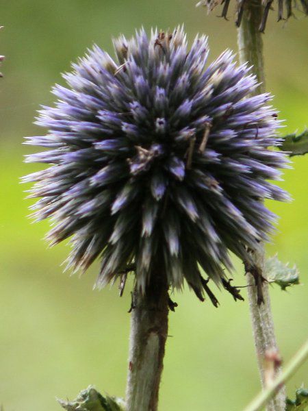 �q�S�^�C