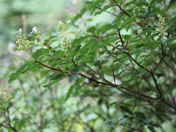 �z�c�c�W�i���U�P�j