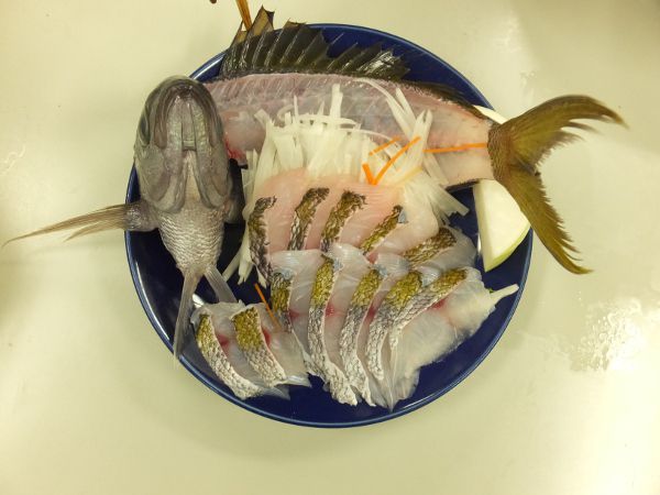 �E���C��