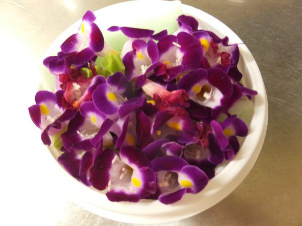 edible flower�i�H�p�ԁj