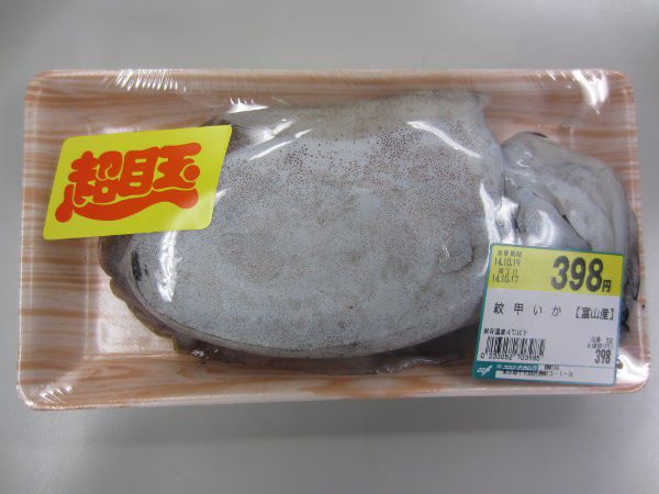 �����S�E�C�J�i��b�G���j