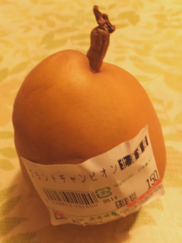�O�����h�`�����s�I��