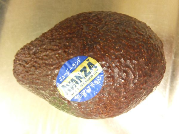 �j���[�W�[�����h�|�A�{�J�h