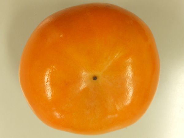 �x�L�`