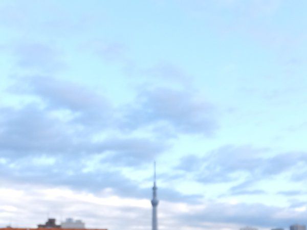 �����X�J�C�c���[