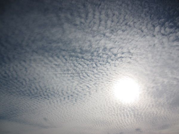���ω_�i���񂹂�����j