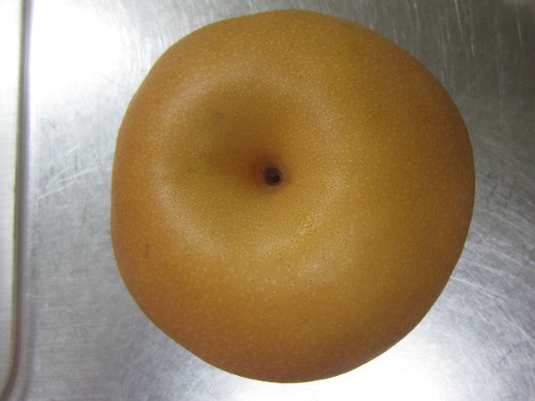 �쐅��