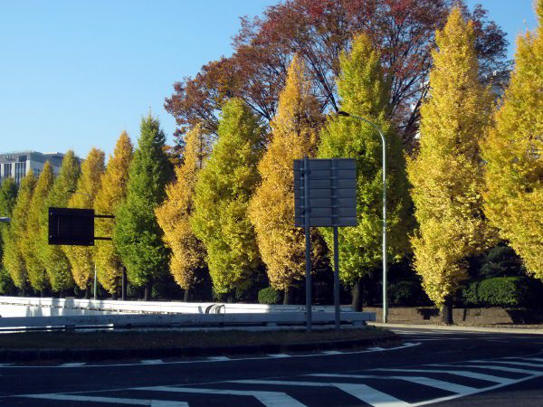 �C�`���E(������)