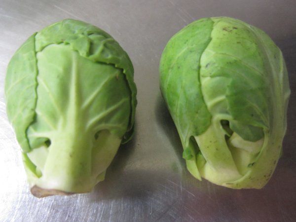�肫��ׂ�