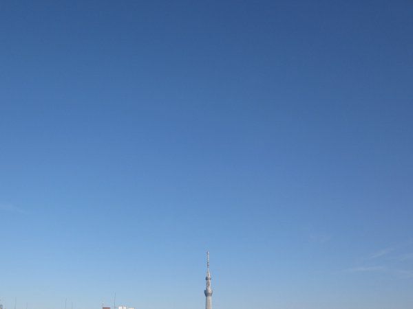 �����X�J�C�c���[