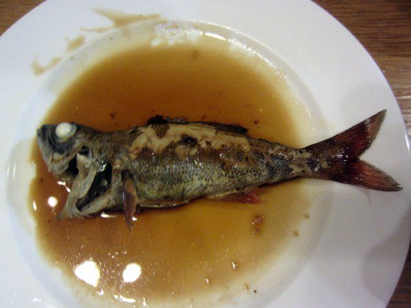 �މʃ��c�̎ς�