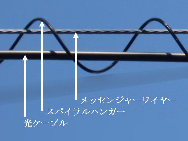 �d��