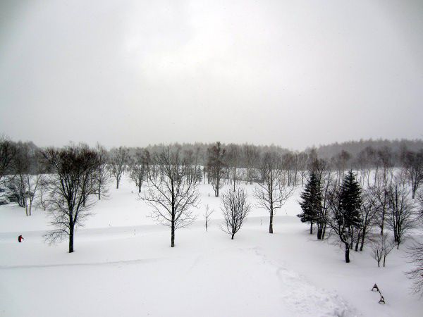 �~�i�F