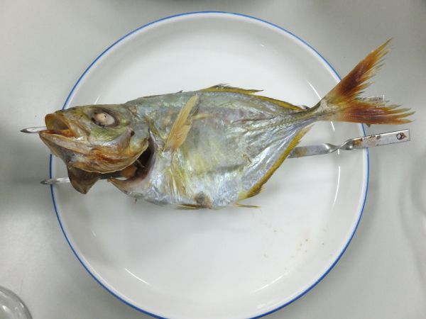 �J�C�������Ă�