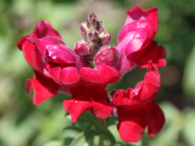 �L���M���\�E