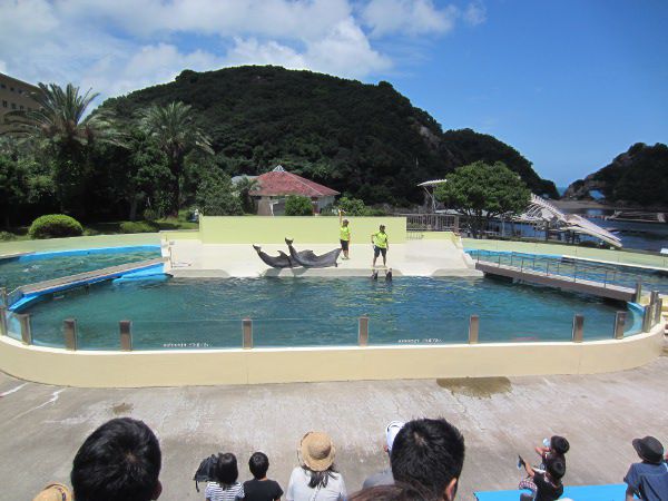 �o���h�E�C���J