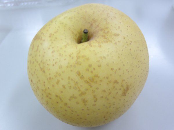 �T�����I������