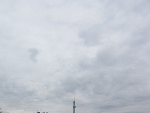 �����X�J�C�c���[