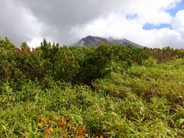 �N�}�U�T�ƃn�C�}�c�̗�_fuji_18�i2015�N9��21���j