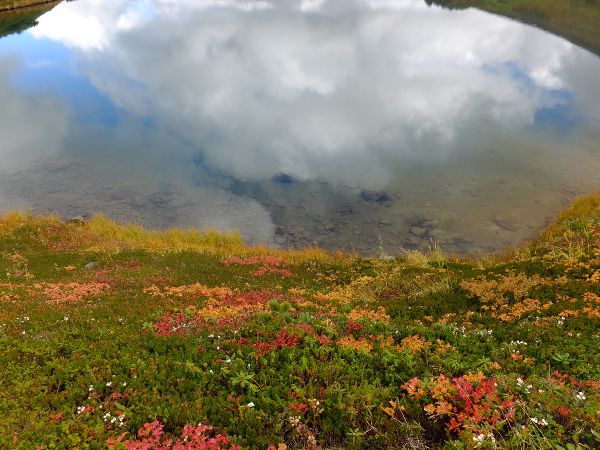 �r�ƍ��R�A��_fuji_2�i2015�N9��21���j