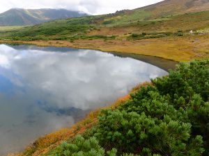 �n�C�}�c_fuji_4�i2015�N9��21���j