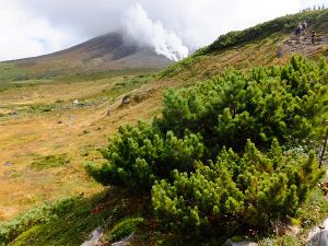 �n�C�}�c_fuji_5�i2015�N9��21���j