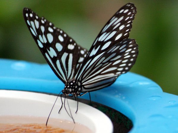 �����E�L���E�A�T�M�}�_��