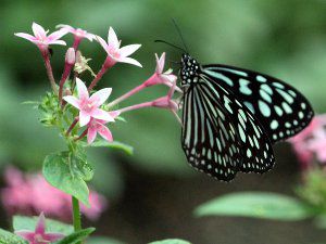 �����E�L���E�A�T�M�}�_��