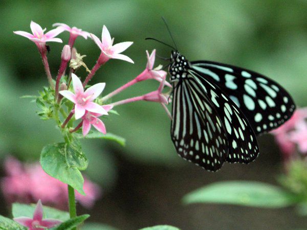 �����E�L���E�A�T�M�}�_��