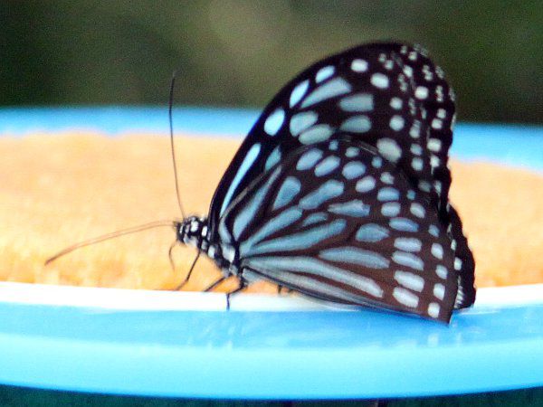 �����E�L���E�A�T�M�}�_��