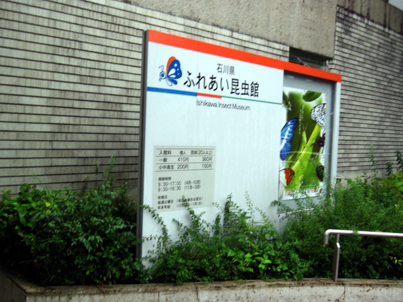 �ΐ썩����