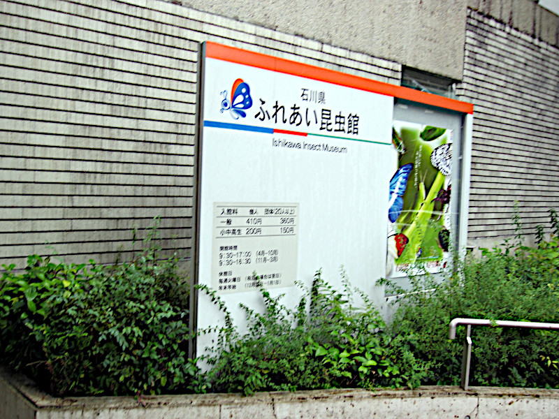�ΐ쌧�ӂꂠ��������