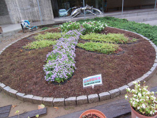 �g���{�`�̐A������