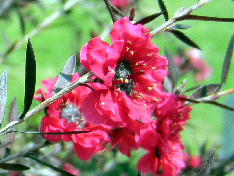 �M�������E�o�C