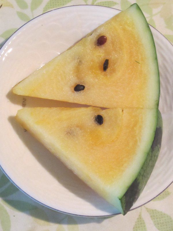���F���X�C�J