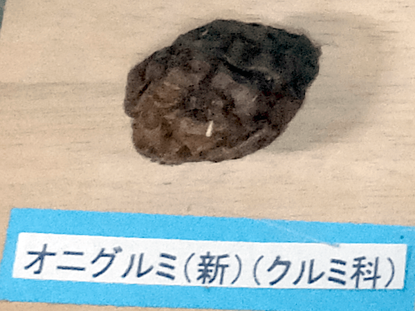 �I�j�O���~