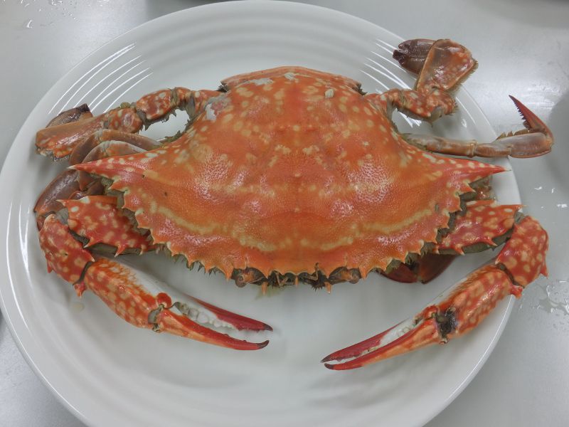 ���^���K�j