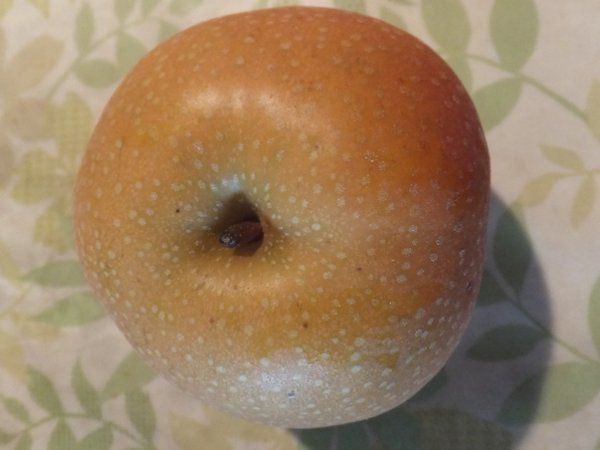 �L���\