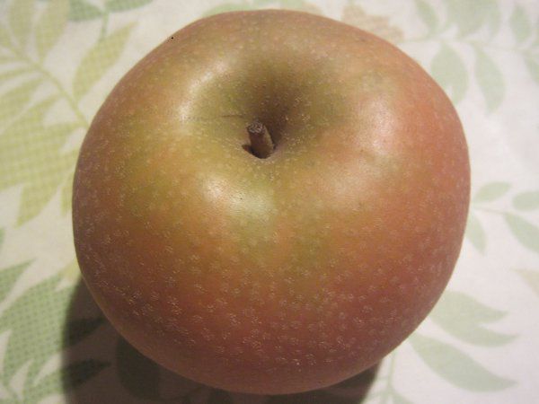 �쐅������